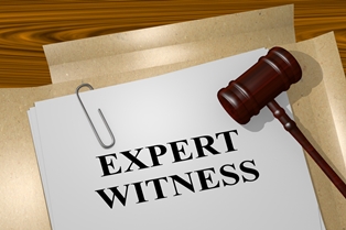 gavel and paperwork for expert witnesses