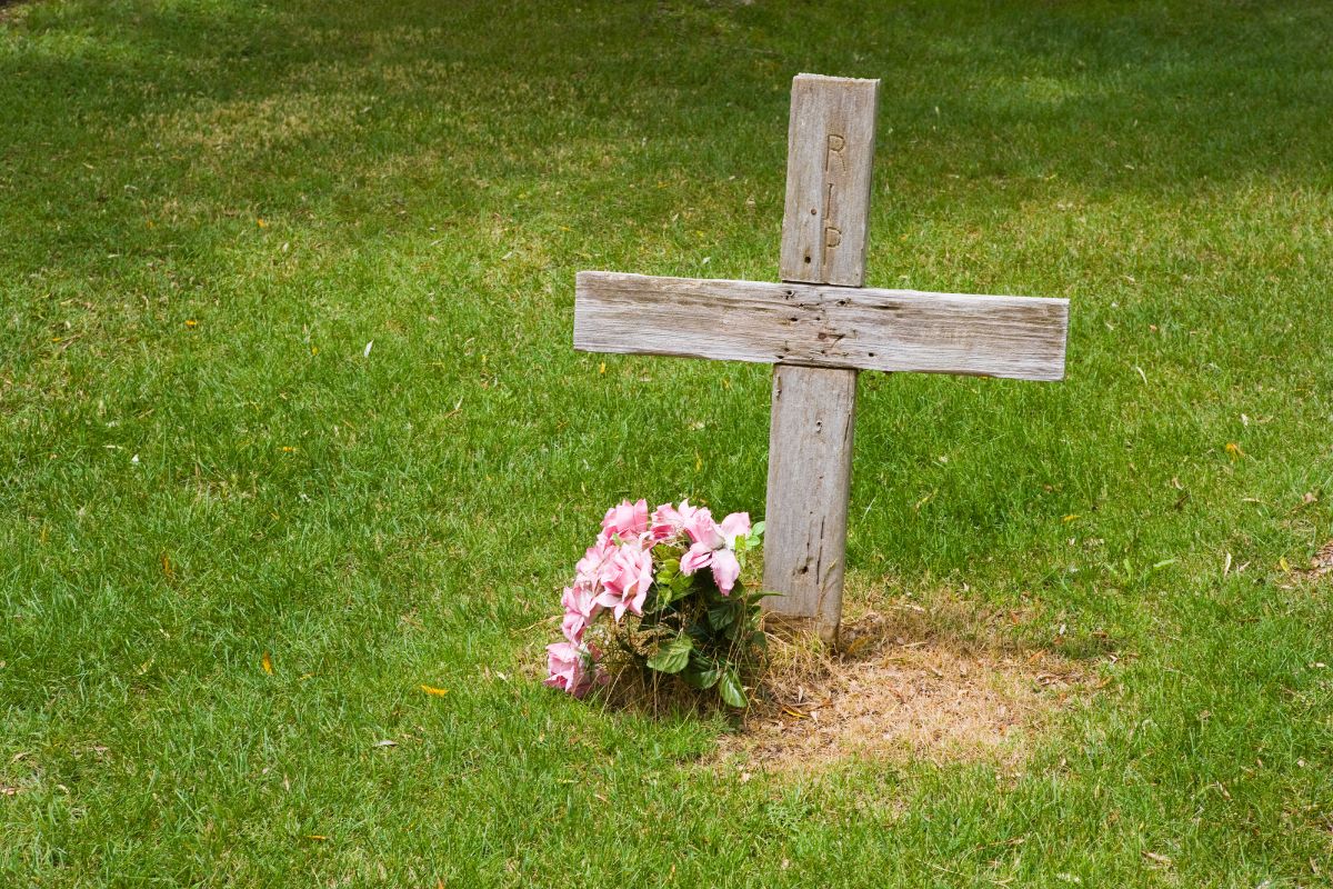 Flowers on a grave with a wooden cross